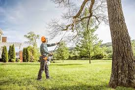Best Lawn Maintenance Plans  in Benton Park, CA